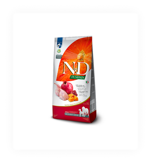 N&D Pumpkin Grain-Free Canine — Large Breed